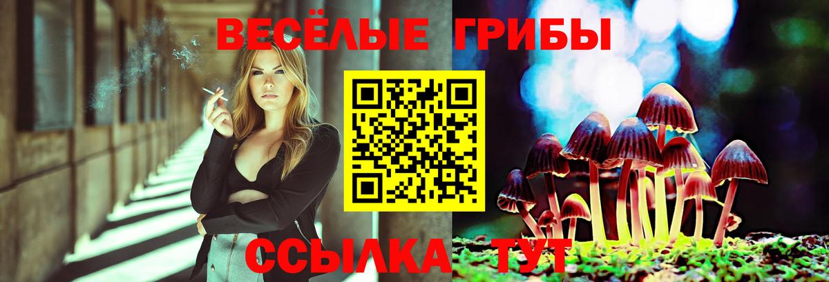 Нововоронеж  Псилоцибиновые грибы MAGIC MUSHROOMS  Вход с VPN 